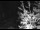 Webcam in Ironton, Colorado, 50.5 mi away