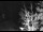 Webcam in Ironton, Colorado, 36.4 mi away