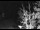 Webcam in Ironton, Colorado, 16.8 mi away