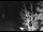 Webcam in Ironton, Colorado, 12.2 mi away