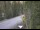 Webcam in Ironton, Colorado, 21.7 mi away