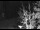 Webcam in Ironton, Colorado, 38.2 mi away