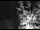 Webcam in Ironton, Colorado, 0.6 mi away