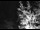 Webcam in Ironton, Colorado, 21.4 km entfernt