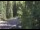 Webcam in Ironton, Colorado, 56.4 km