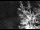 Webcam in Ironton, Colorado, 13.9 km entfernt