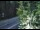 Webcam in Ironton, Colorado, 12.2 mi away