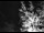 Webcam in Ironton, Colorado, 38.2 mi away