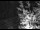 Webcam in Ironton, Colorado, 196.6 km entfernt