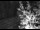 Webcam in Ironton, Colorado, 99 km