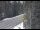 Webcam in Ironton, Colorado, 37.3 mi away