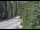 Webcam in Ironton, Colorado, 37.3 mi away