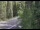 Webcam in Ironton, Colorado, 28.5 mi away