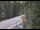 Webcam in Ironton, Colorado, 31.5 km entfernt