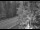 Webcam in Ironton, Colorado, 0.6 mi away