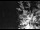 Webcam in Ironton, Colorado, 196.6 km