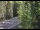 Webcam in Ironton, Colorado, 119.2 km