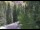 Webcam in Ironton, Colorado, 56.4 km