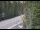 Webcam in Ironton, Colorado, 161.1 km