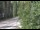 Webcam in Ironton, Colorado, 25.1 mi away