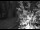 Webcam in Ironton, Colorado, 161.1 km