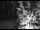 Webcam in Ironton, Colorado, 84.7 km