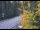 Webcam in Ironton, Colorado, 37.3 mi away