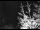 Webcam in Ironton, Colorado, 0.6 mi away