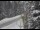 Webcam in Ironton, Colorado, 1.5 km