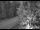 Webcam in Ironton, Colorado, 43 km