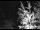 Webcam in Ironton, Colorado, 112 km