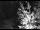 Webcam in Ironton, Colorado, 52.9 km