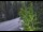 Webcam in Ironton, Colorado, 43 km