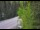 Webcam in Ironton, Colorado, 1.5 km