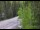 Webcam in Ironton, Colorado, 31.5 km