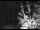 Webcam in Ironton, Colorado, 31.5 km