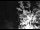 Webcam in Ironton, Colorado, 85.4 km