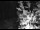 Webcam in Ironton, Colorado, 0.6 mi away