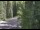 Webcam in Ironton, Colorado, 112 km