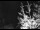 Webcam in Ironton, Colorado, 0.6 mi away