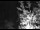 Webcam in Ironton, Colorado, 9.1 mi away