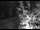 Webcam in Ironton, Colorado, 38.2 mi away