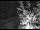 Webcam in Ironton, Colorado, 0.6 mi away