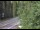Webcam in Ironton, Colorado, 131 km