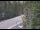 Webcam in Ironton, Colorado, 82.7 km entfernt