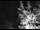 Webcam in Ironton, Colorado, 18.1 km entfernt