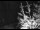 Webcam in Ironton, Colorado, 25.1 mi away