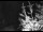 Webcam in Ironton, Colorado, 0.6 mi away