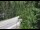 Webcam in Ironton, Colorado, 31.5 km