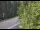 Webcam in Ironton, Colorado, 37.3 mi away